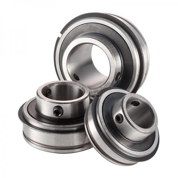 Dodge INS-SCEZ-100-SS Ball Insert Bearings #5 image